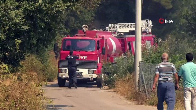 Antalya’da Perge Antik Kent'i yakınında orman yangını