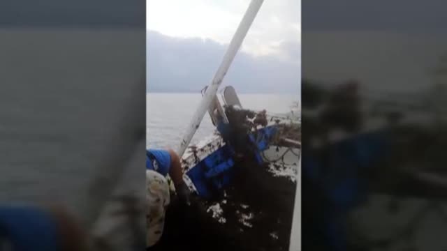 Toneladas de algas siguen invadiendo Tarifa (Cádiz)