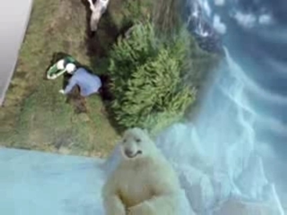 Earth_b