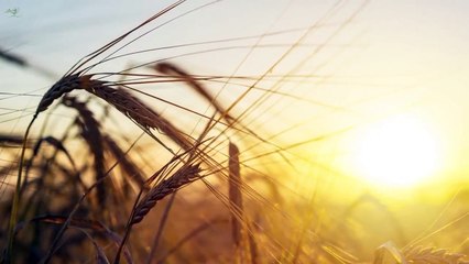 영양출장안마 -후불100%ョØ7Øx7575x0054｛카톡OYO78｝ 무료 온라인 카지노 게임 영양전지역출장안마 영양출장마사지 영양안마 영양출장마사지 영양출장샵 영양출장만남1위㌰∥ゃ무료 온라인 카지노 게임