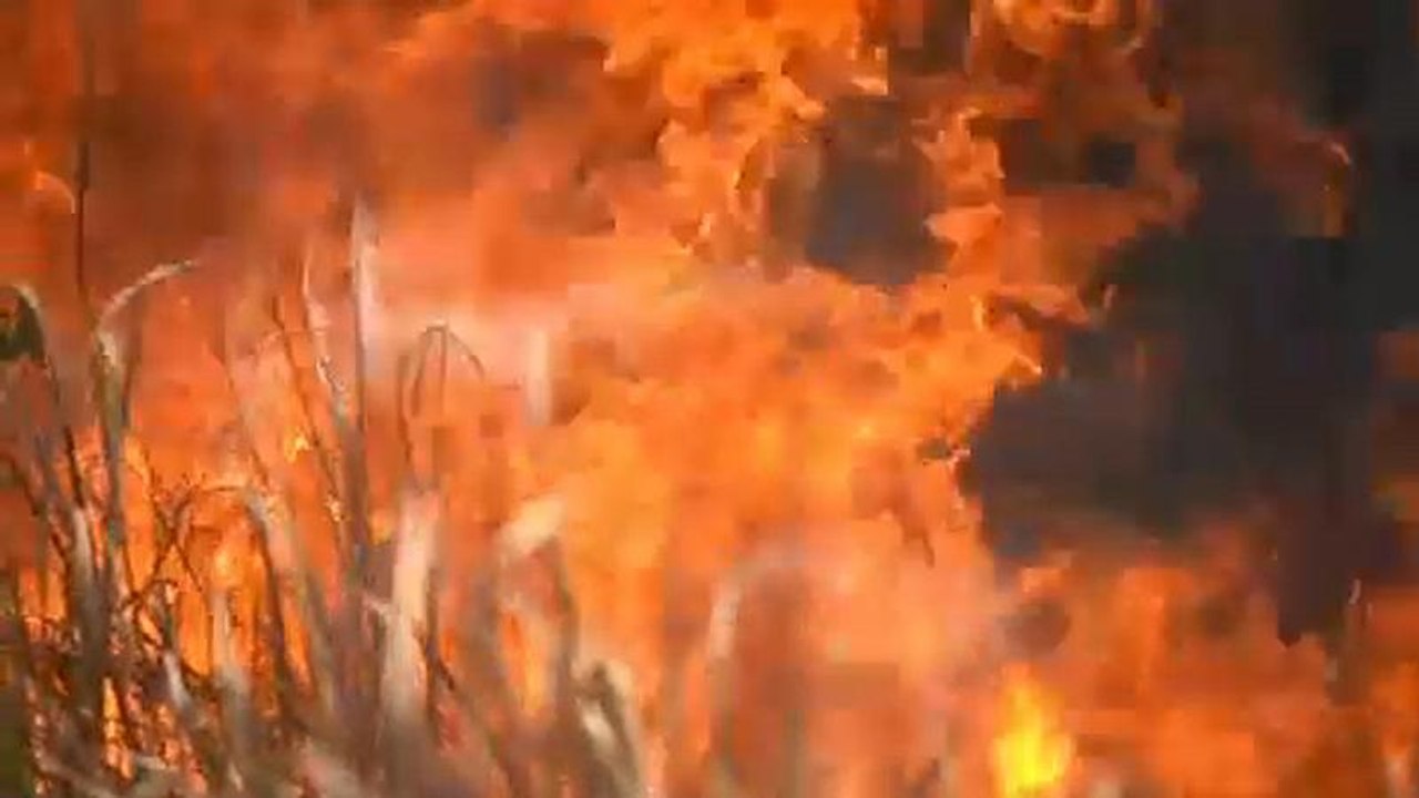 Regenwald brennt: Beleidigter Bolsonaro fordert Entschuldigung