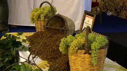 "Manisa sultani çekirdeksiz üzümü" Avrupa Birliği yolunda