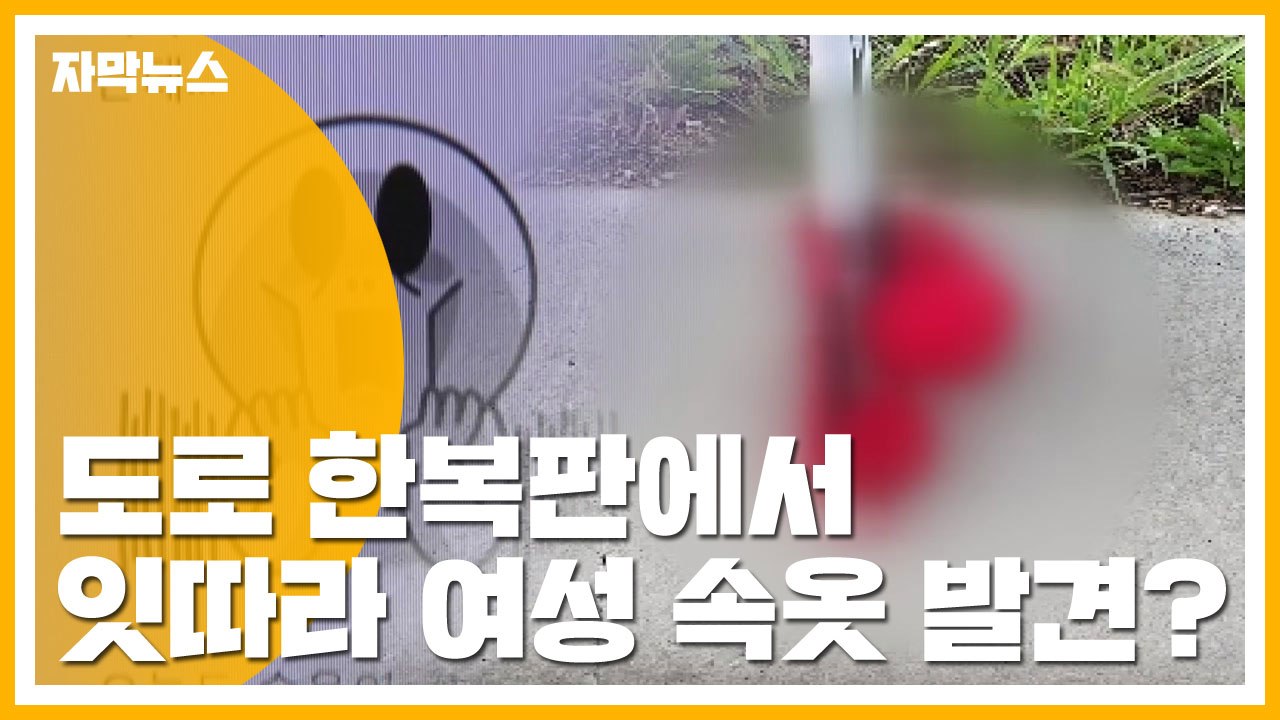 [자막뉴스] 도로 한복판에 걸린 '여성 속옷'...누가? 왜? / YTN