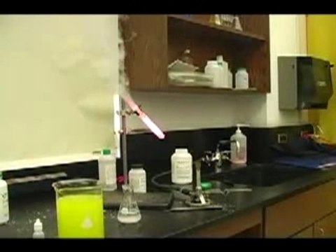 Chlorate de potassium vs ourson haribo