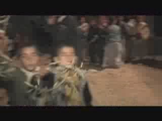 poesie sur les oliviers