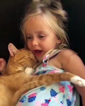 Trop chou ! Cette petite fille adore faire sa sieste avec son chaton
