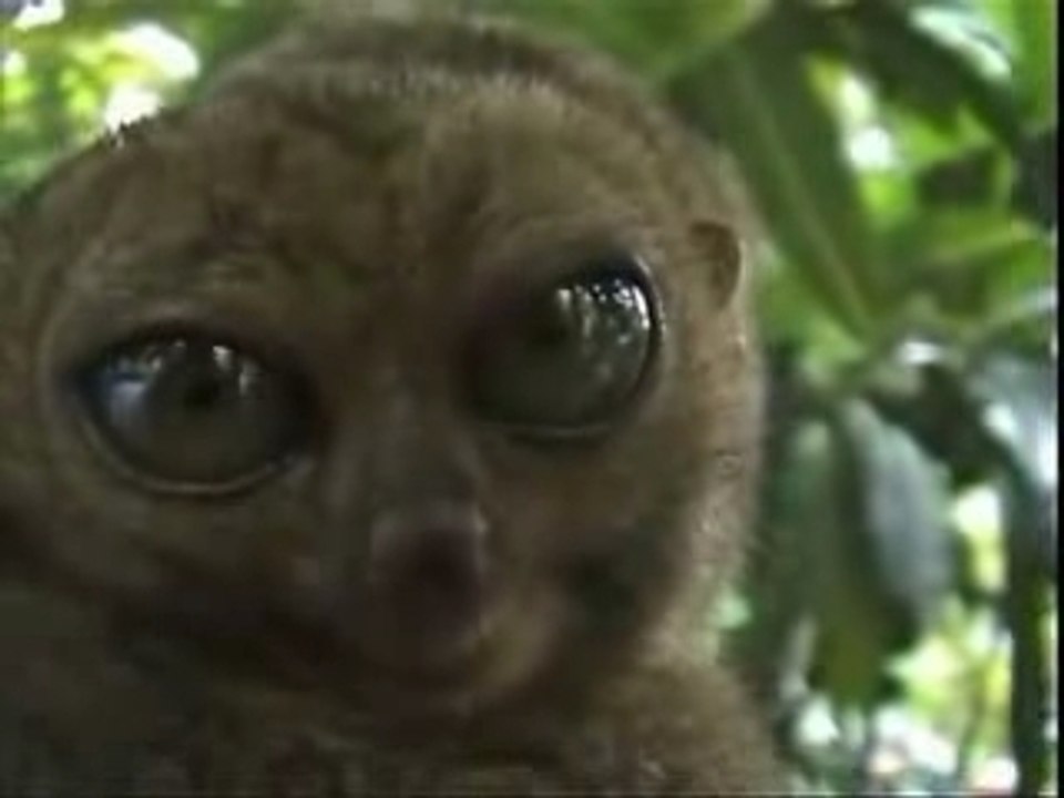 I'm watching you