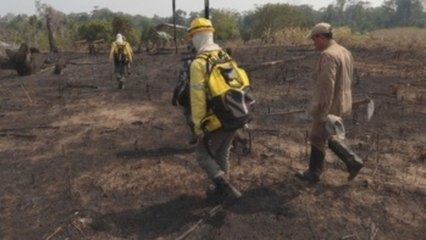 Brasil y Chile convocan a países amazónicos contra incendios, sin Venezuela