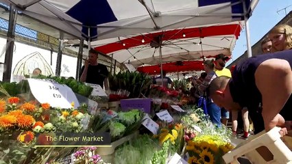 city tour on tour, UK, capítulo 12 (18 agosto de 2019)