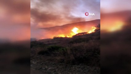 Alanya’da çalılık alanda yangın paniği