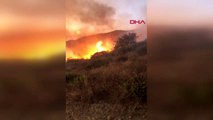 Antalya alanya'da makilik ve çalılık alanda yangın