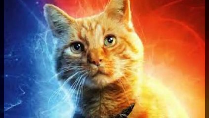 대전출장안마 -후불100%ョOiOV6777V8358｛카톡SZ58｝ 대전전지역출장안마 대전오피걸 대전출장마사지 대전출장안마 대전출장마사지 대전콜걸샵안마 대전출장아로마대전출장안마후기₤ЙН대전출장샵마사지