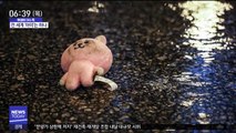 [이슈톡] BTS 팬 울린 홍콩시위 '쿠키' 인형