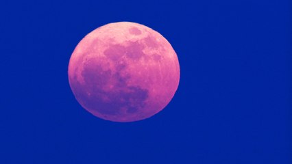 You Don't Want to Miss the "Pink Moon" That Will Light Up the Sky This Week