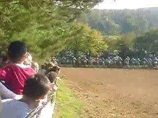 Motocross Course chateau renard 2007
