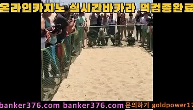 바카라사이트 golca77.com 카지노사이트 golca77.com 마이다스카지노 golca88.com 모바일카지노 golca95.com 카지노 banker376.com 개츠비카지노 banker19.com 온라인바카라 golca77.com COD카지노 https: