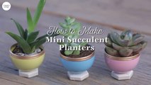 These Mini Succulent Planters Are the Cheapest and Cutest Way to Display Succulents
