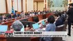President Moon chairs Cabinet meeting to review and resolve gov't budget plan for next year