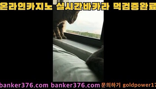 우리카지노 banker376.com pc카지노 golca95.com 도박 golca88.com 바카라필승법 golca77.com 올인구조대 banker19.com 바카라추천 banker376.com 홀덤 golca
