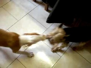 Byron & titus