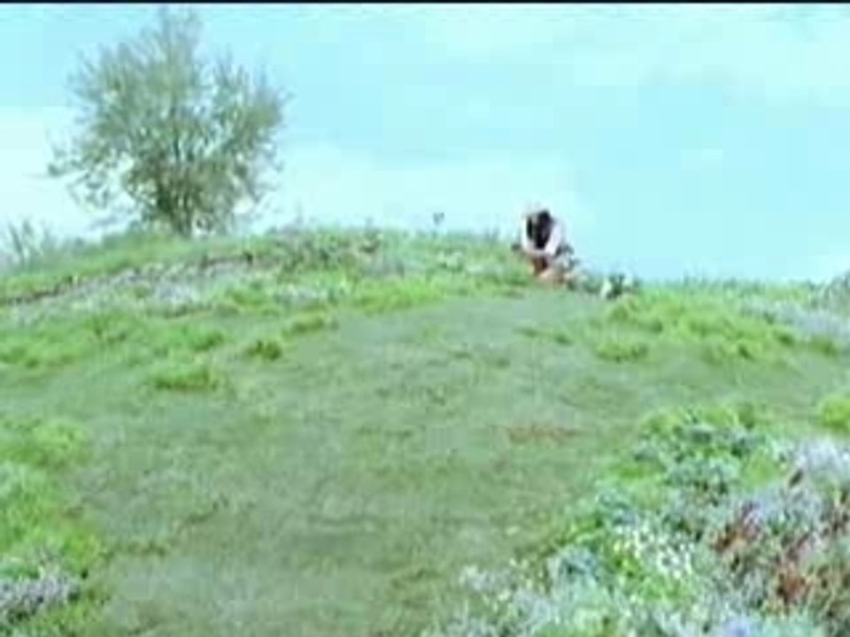 Arashi au CM