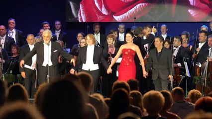 Harcèlement ? Les fans de Plácido Domingo le défendent