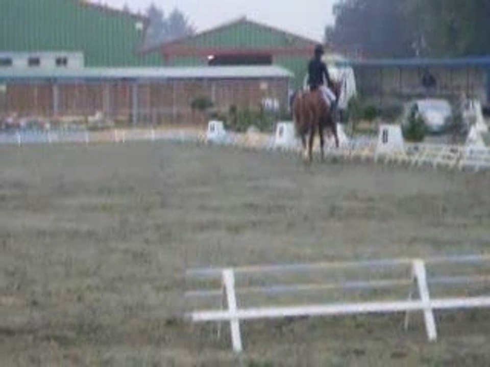 lisette et major de launay