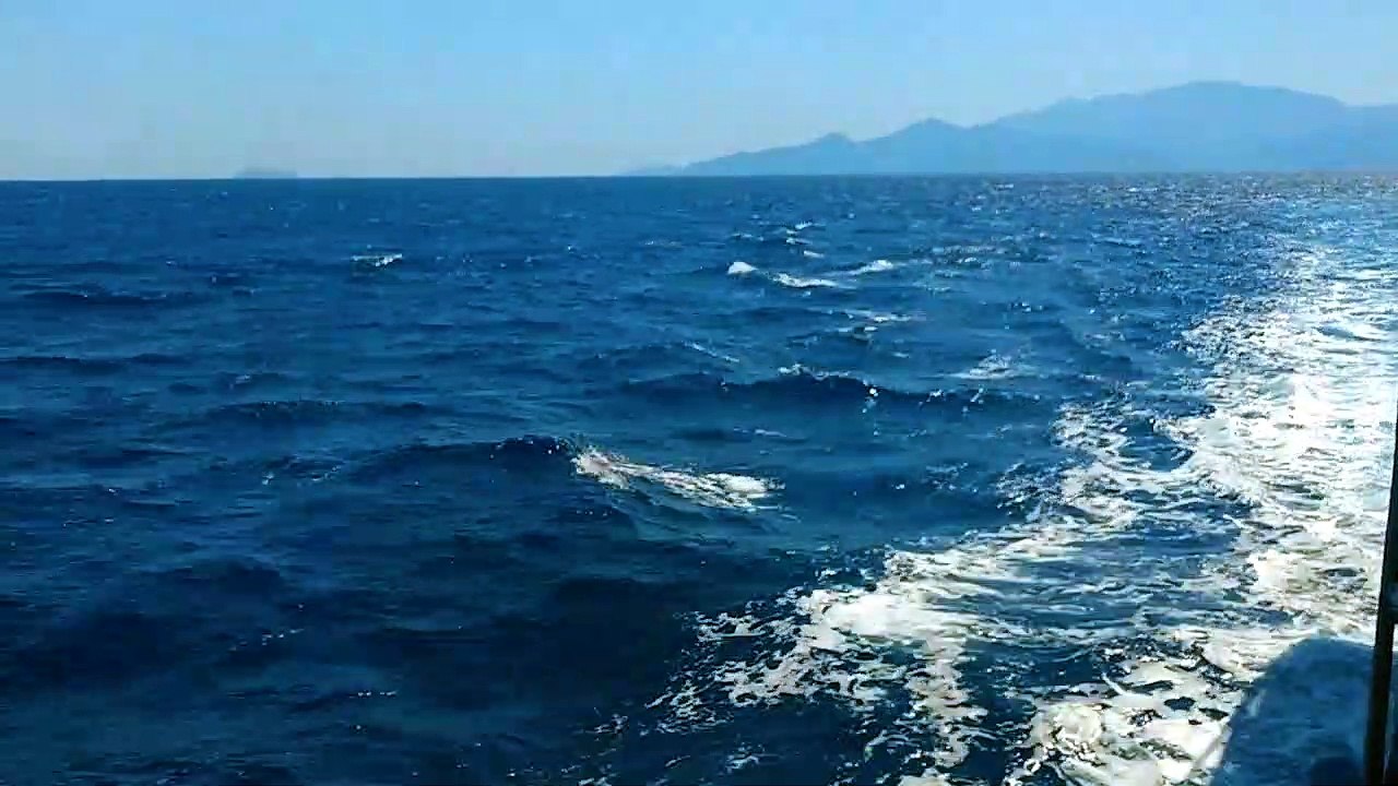 Goodbye summer 2019