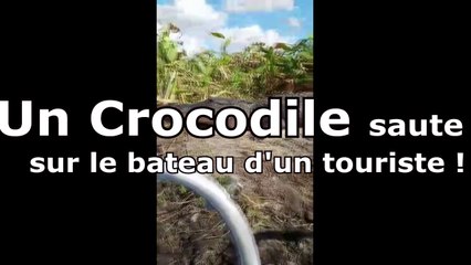 Quand un Crocodile saute sur le bateau d'un touriste