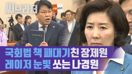 국회법 책자 패대기친 장제원, 레이저 눈빛 쏘는 나경원 ‘혼란의 정개특위 현장’ [C브라더]