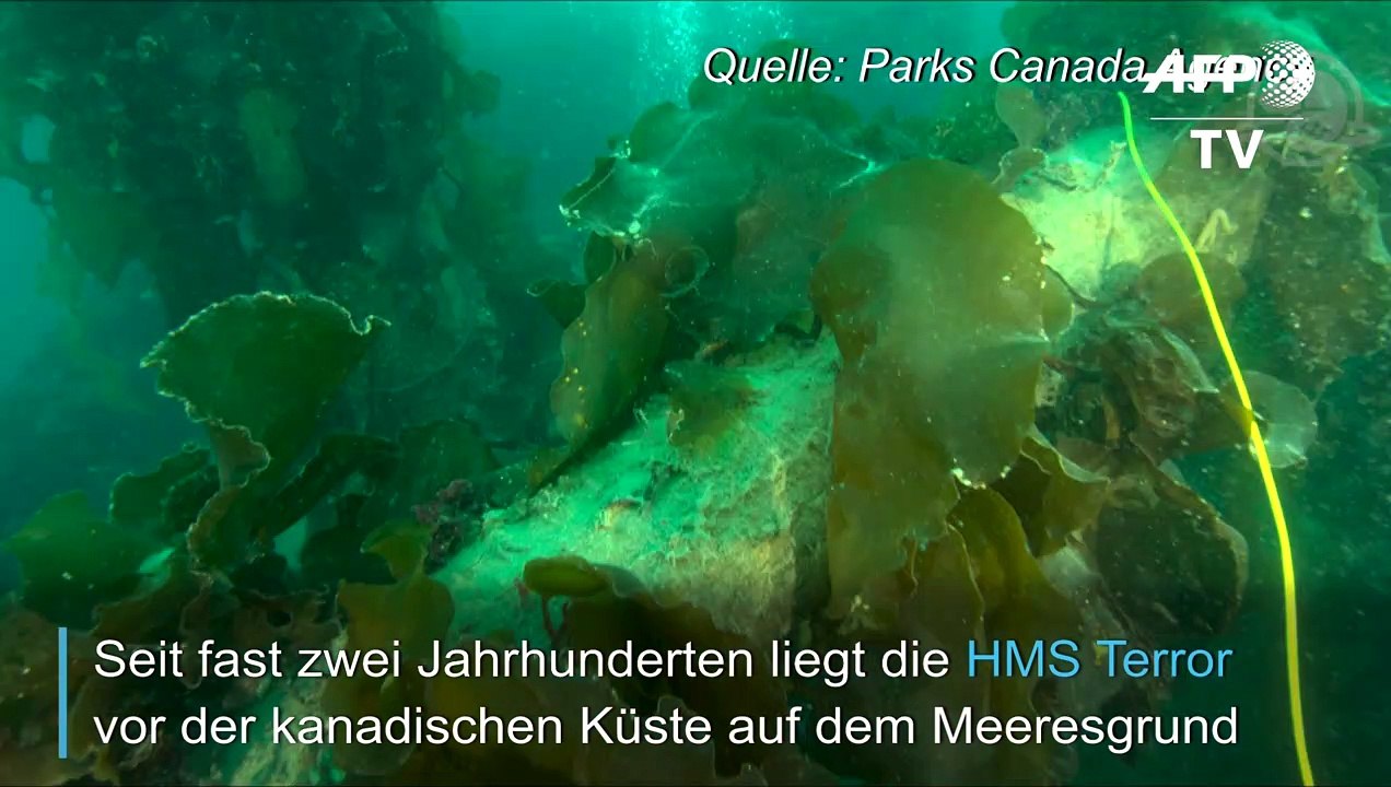 Wrack der HMS Terror sieht aus wie am ersten Tag