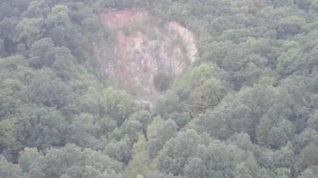 En Hongrie, des habitants se battent pour sauver leurs arbres