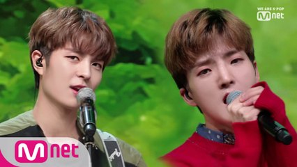 실력파 밴드 'W24'의 '내가 너의 위로 되어' 무대