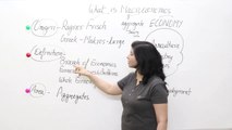 #1- What is Macroeconomics? (IN ENGLISH), Macroeconomics (12) || Shachi's Academy ||