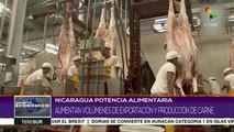 Impacto Económico: Bolivia impulsa su industria ganadera