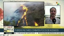 Brasil: fuerzas militares combaten incendios en el Amazonas