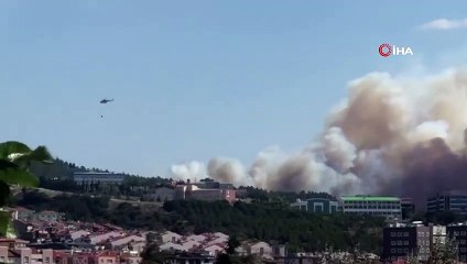 Çanakkale'de şehrin yanı başında korkutan orman yangını