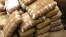 Bologna - Trasporta 200 chili di marijuana: arrestato albanese (29.08.19)
