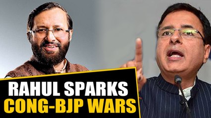 BJP-Congress lock horns over Rahul's Kashmir comment