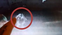 Real Ghost Caught On Camera? Top 5 Scary Videos You’ve Never Seen