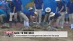 S. Korea releases 14 endangered sea turtles into ocean