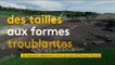 Par Toutatis, des menhirs mis au jour en Auvergne