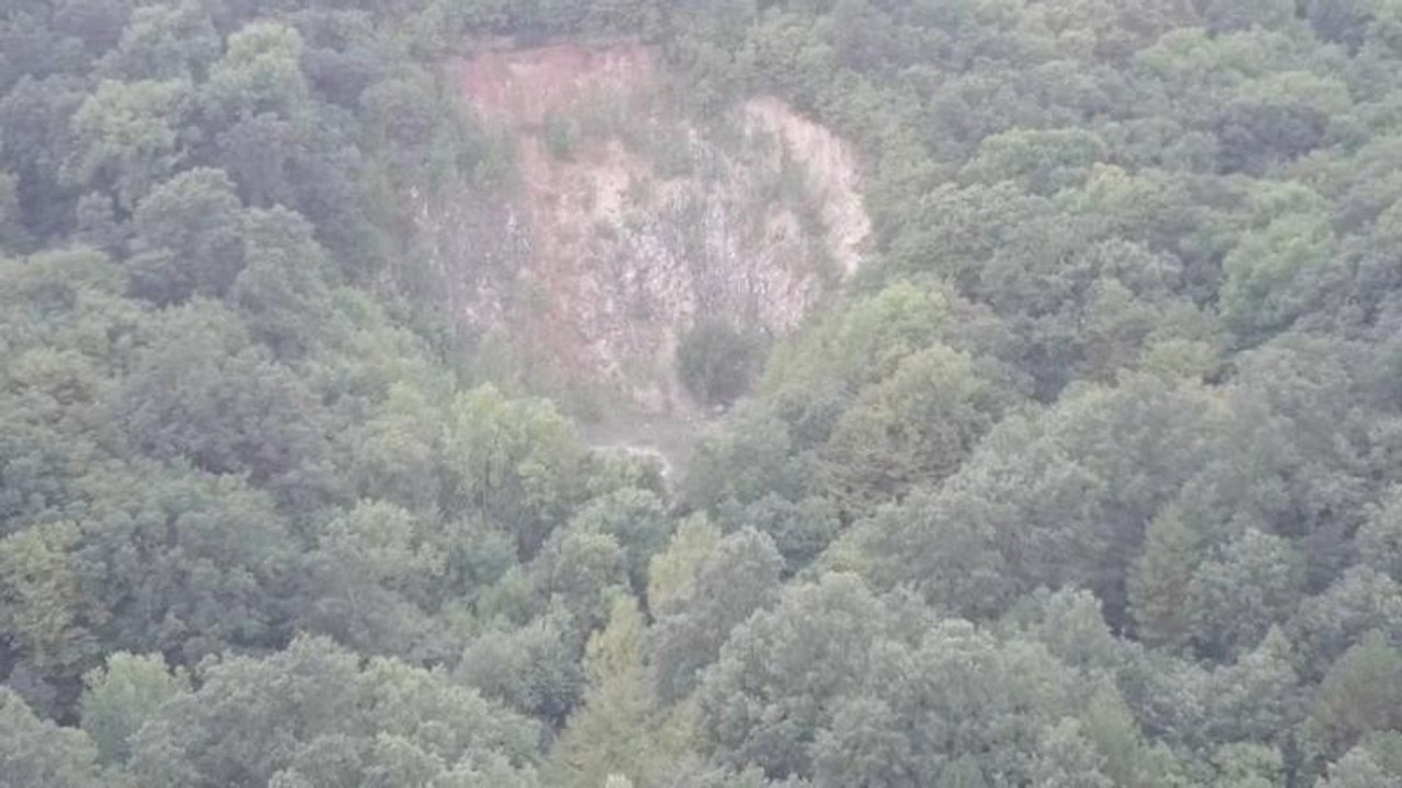 Ein Wald mit 15.000 Bäumen soll verschwinden - zugunsten eines Steinbruchs