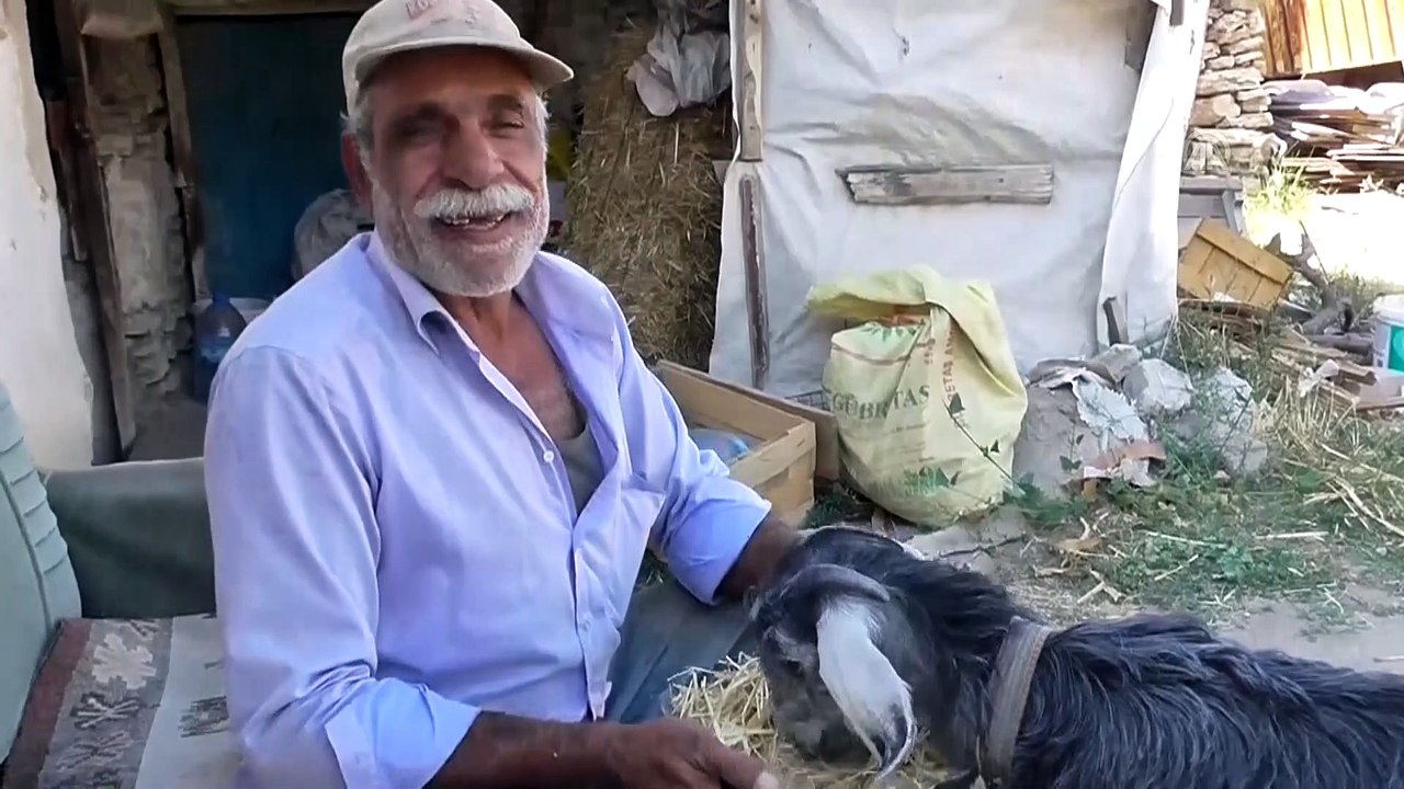 Sevimli oğlak sahibine yol arkadaşı oldu - KONYA