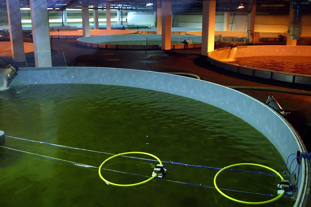 Destinations Haute-Loire : le pays de Langeac