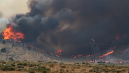 هل تتأثر مصر بحرائق الأمازون؟.. الأرصاد تجيب