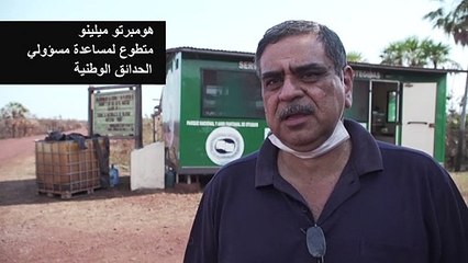 حرائق بوليفيا فحّمت الأشجار وقضت على الحيوانات