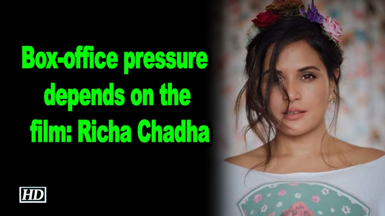 Box-office pressure depends on the film: Richa Chadha