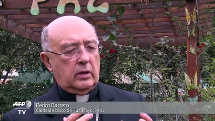 Cardeal peruano diz que ajuda do G7 não ameaça soberania do Bras