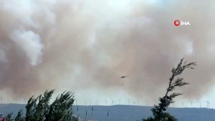 Çanakkale'de şehrin yanı başında korkutan orman yangını